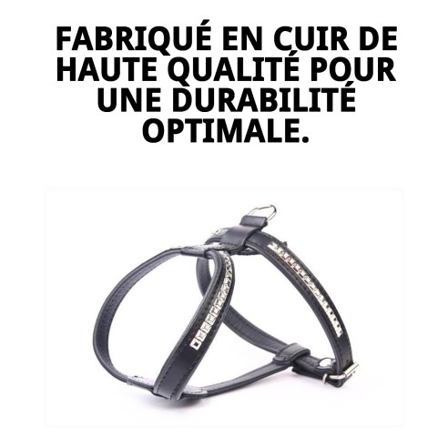 Harnais en Cuir Luxe avec Clous 60 cm - Style et Confort