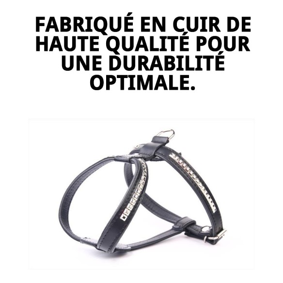 Harnais en Cuir Luxe avec Clous 60 cm - Style et Confort
