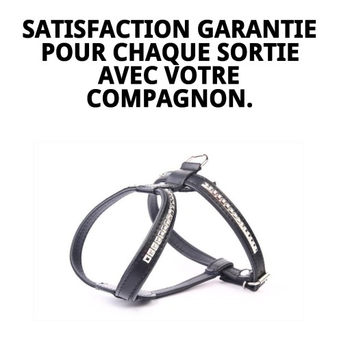 Harnais en Cuir Luxe avec Clous 60 cm - Style et Confort