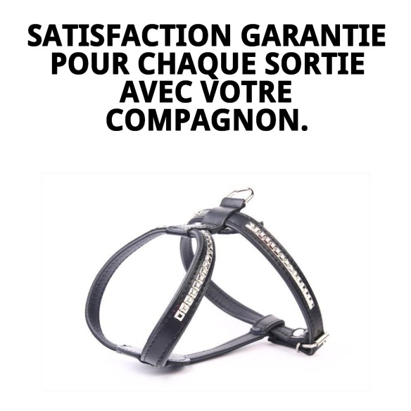 Harnais en Cuir Luxe avec Clous 60 cm - Style et Confort