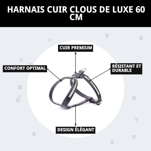 Harnais en Cuir Luxe avec Clous 60 cm - Style et Confort
