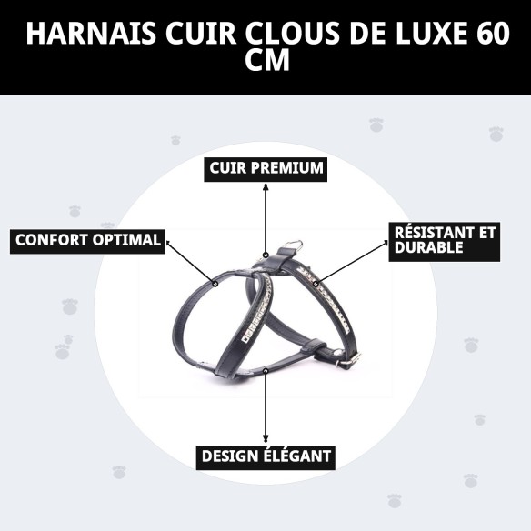 Harnais en Cuir Luxe avec Clous 60 cm - Style et Confort