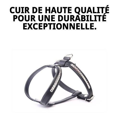 Harnais en cuir Luxury Clous 90 cm pour animaux élégants