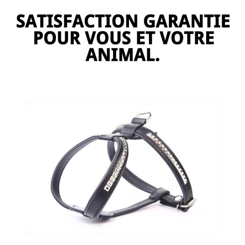 Harnais en cuir Luxury Clous 90 cm pour animaux élégants