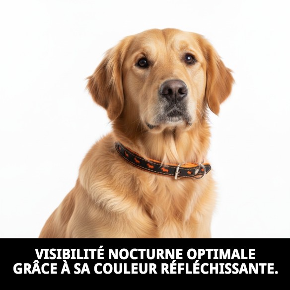 Collier de Luxe Réfléchissant en Cuir - 57 cm Orange Brillant