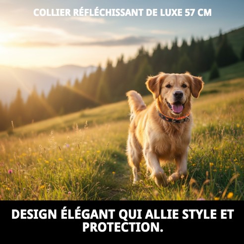 Collier de Luxe Réfléchissant en Cuir - 57 cm Orange Brillant