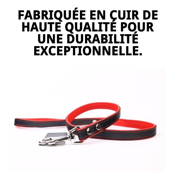 Correa en Cuir Luxe 120 cm - Style et Qualité pour Votre Animal de Compagnie