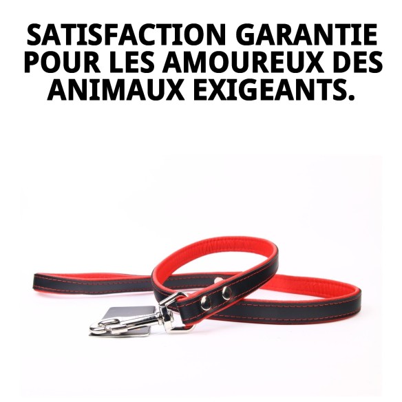 Correa en Cuir Luxe 120 cm - Style et Qualité pour Votre Animal de Compagnie