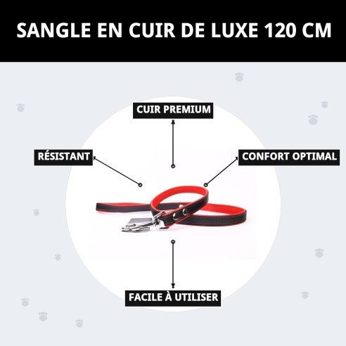Correa en Cuir Luxe 120 cm - Style et Qualité pour Votre Animal de Compagnie
