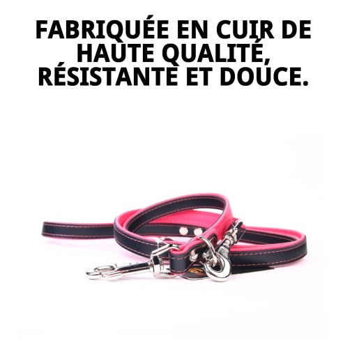 Correa en cuir Luxury 220 cm en noir et rose pour animaux de compagnie.