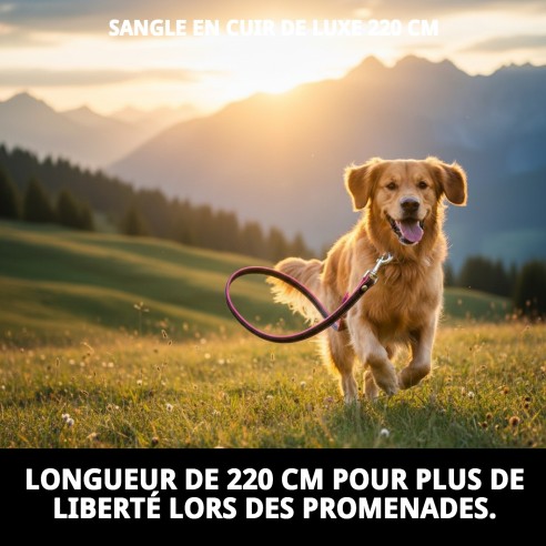 Correa en cuir Luxury 220 cm en noir et rose pour animaux de compagnie.