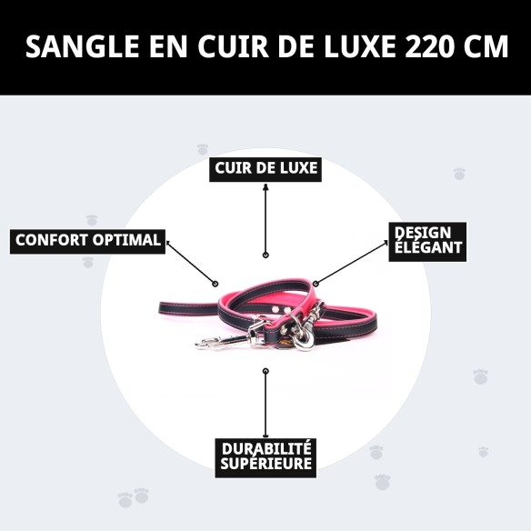 Correa en cuir Luxury 220 cm en noir et rose pour animaux de compagnie.