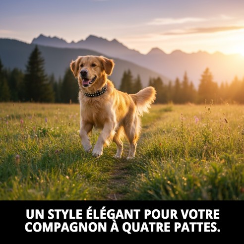 Collier en Cuir Luxe avec Cristaux - Élégance pour votre Animal de Compagnie