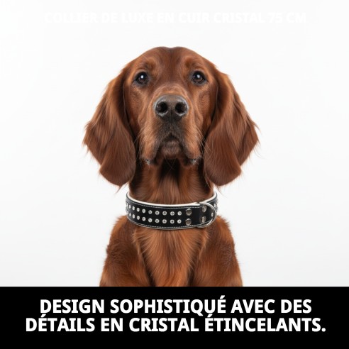 Collier en Cuir Luxe avec Cristaux - Élégance pour votre Animal de Compagnie