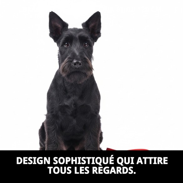 Ceinture en cuir Luxury Joya 120 cm de couleur rouge.