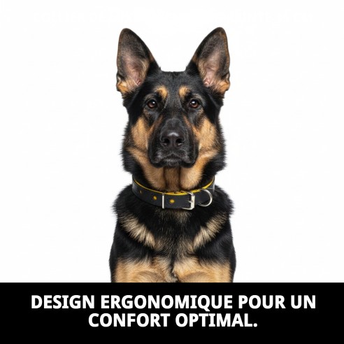 Collier en cuir Luxury Huella 45 cm - Jaune réfléchissant