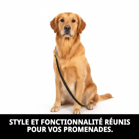 Correa en cuir Luxury Huella 130 cm - Style et Sécurité