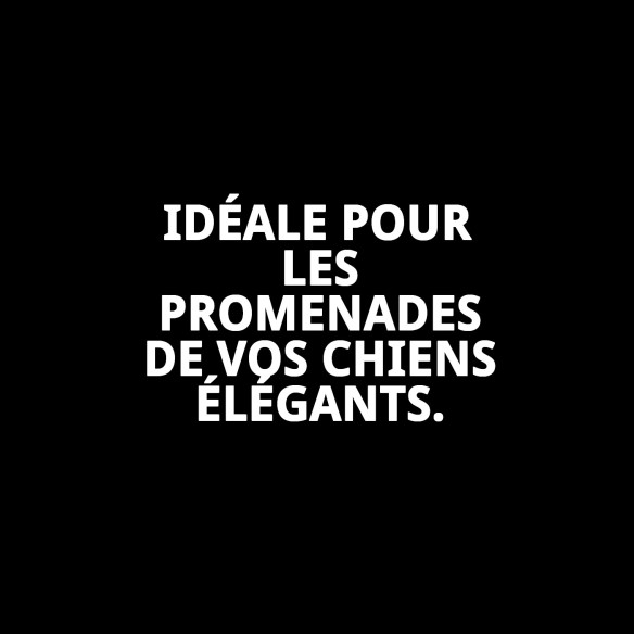 Correa en cuir Luxury Huella 130 cm - Style et Sécurité