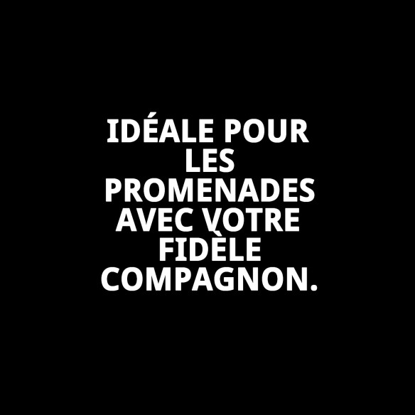 Ramal en cuir Luxury Fantasía 130 cm pour votre animal de compagnie.