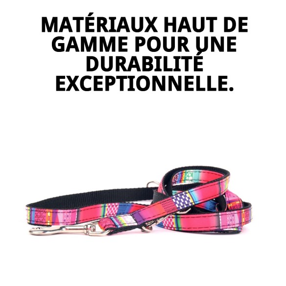 Ramal Luxury Fantasía 220 cm : Élégance et Style pour votre Animal de Compagnie