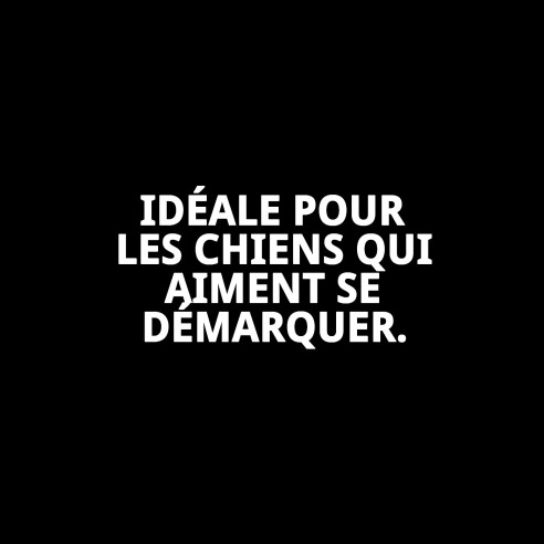 Ramal Luxury Fantasía 220 cm : Élégance et Style pour votre Animal de Compagnie