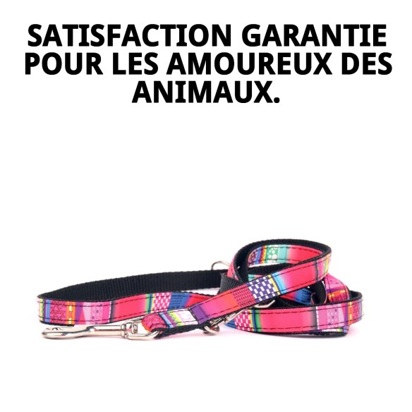 Ramal Luxury Fantasía 220 cm : Élégance et Style pour votre Animal de Compagnie