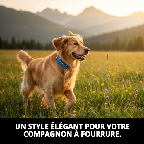 Collier en cuir Luxury Rond 40 cm - Style et Élégance