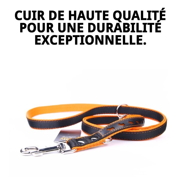 Ramal en Cuir Luxe Réfléchissant 220 cm pour Animaux de Compagnie
