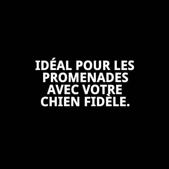 Ramal en Cuir Luxe Réfléchissant 220 cm pour Animaux de Compagnie