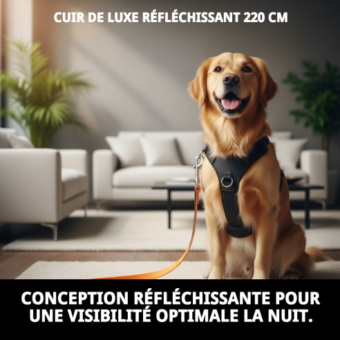 Ramal en Cuir Luxe Réfléchissant 220 cm pour Animaux de Compagnie