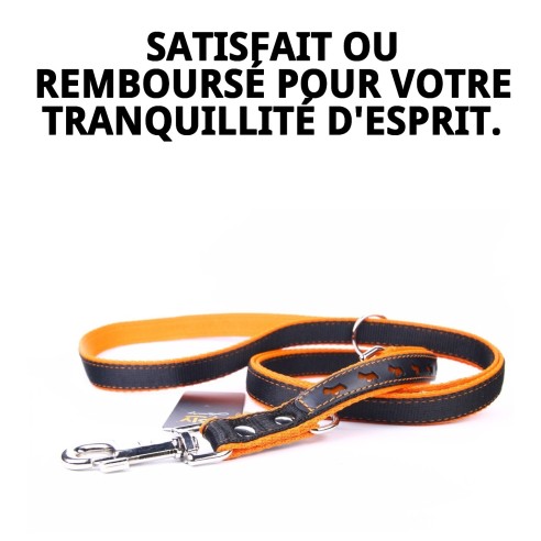Ramal en Cuir Luxe Réfléchissant 220 cm pour Animaux de Compagnie
