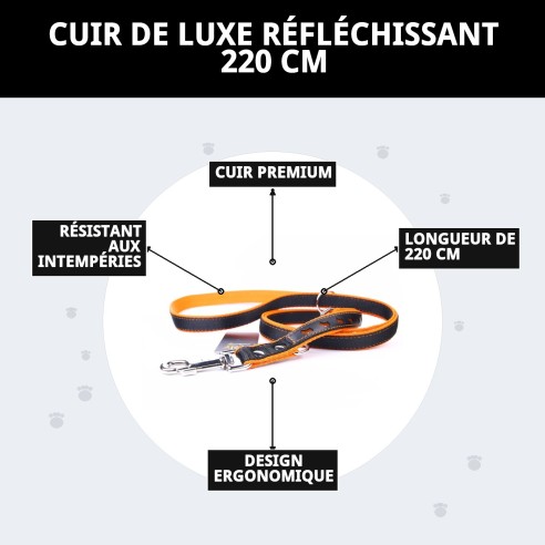 Ramal en Cuir Luxe Réfléchissant 220 cm pour Animaux de Compagnie