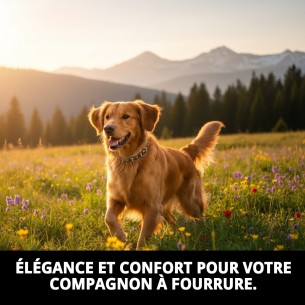 Collier en Cuir Luxe avec Cristaux - Élégance pour votre Animal de Compagnie 2