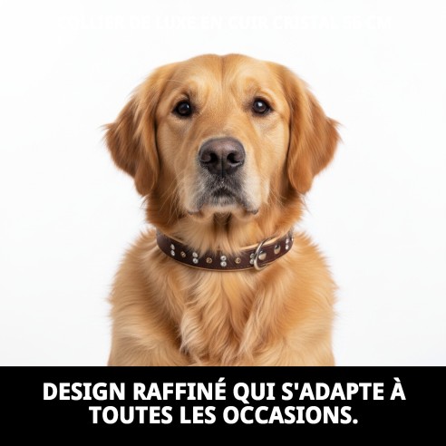 Collier en Cuir Luxe avec Cristaux - Élégance pour votre Animal de Compagnie