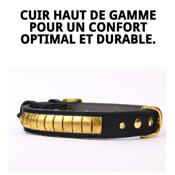 Collier en cuir Luxury 65 cm en noir et doré pour animaux de compagnie.