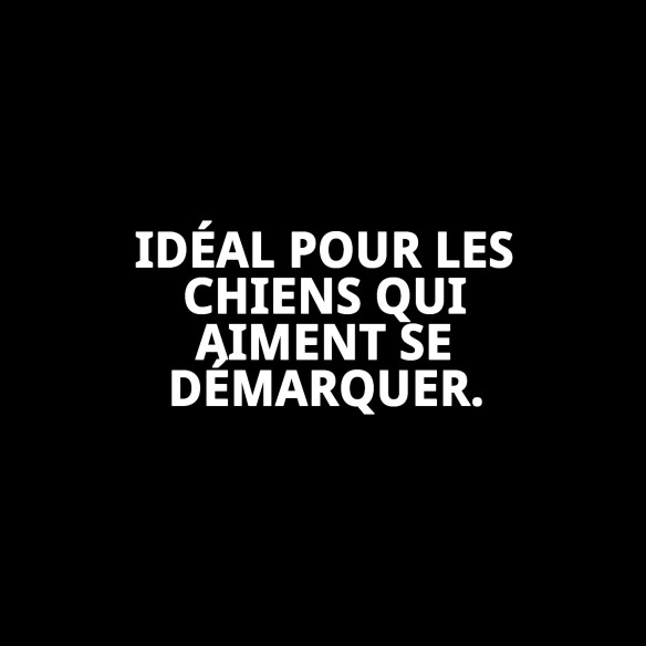 Collier en cuir Luxury 65 cm en noir et doré pour animaux de compagnie.