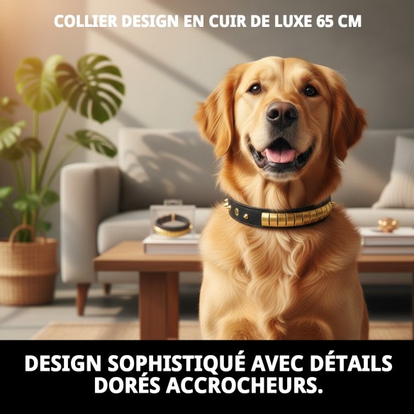 Collier en cuir Luxury 65 cm en noir et doré pour animaux de compagnie.