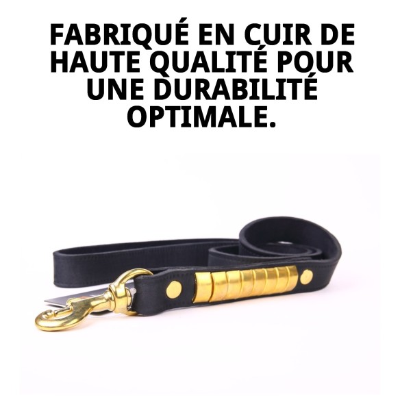 Ramal en Cuir Luxe 110 cm - Élégance et Durabilité pour votre Animal de Compagnie