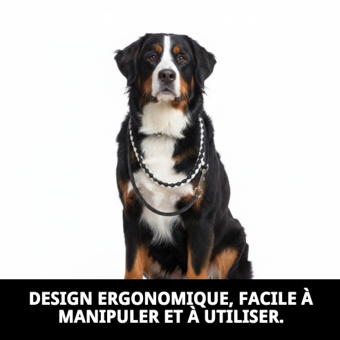 Ramal en Cuir Luxe Tressé 120 cm - Style Élégant et Durable