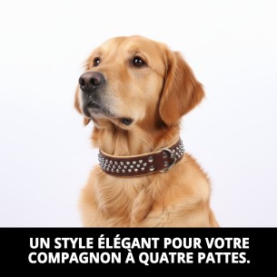 Collier en cuir Luxury Clavo 75 cm - Élégance pour votre animal de compagnie 2