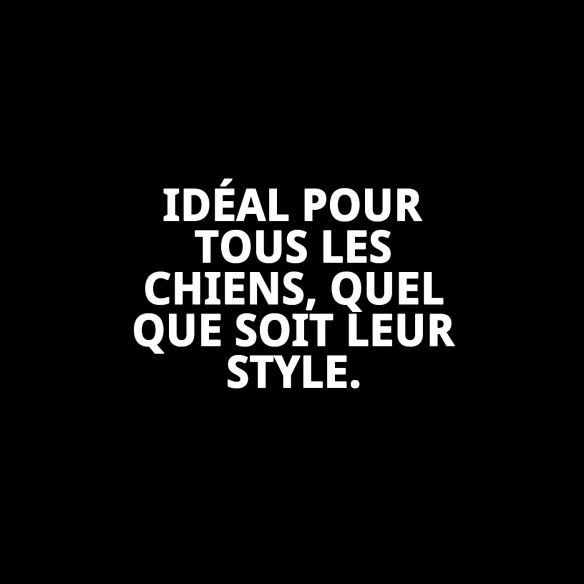 Collier en cuir Luxury Clavo 75 cm - Élégance pour votre animal de compagnie