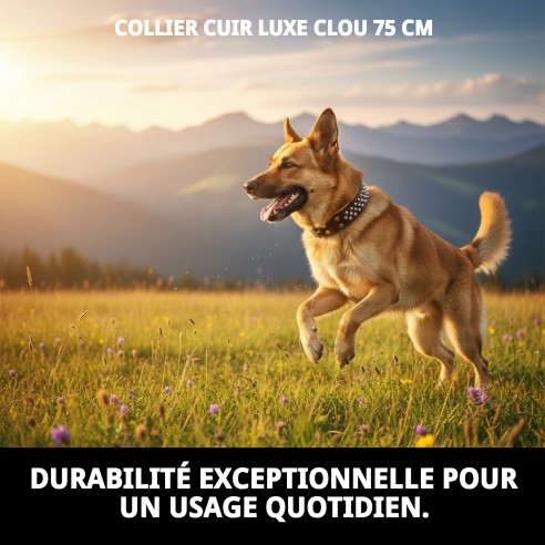 Collier en cuir Luxury Clavo 75 cm - Élégance pour votre animal de compagnie