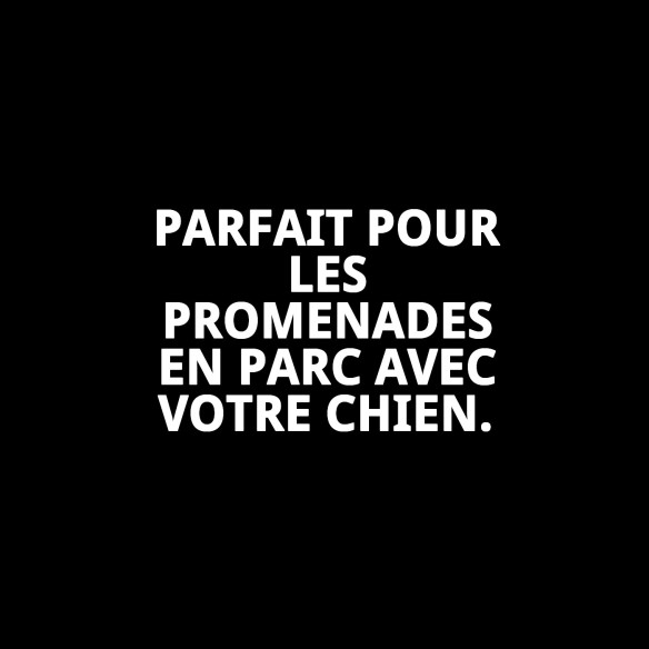 Correa Flexi New Classic XS 3M - Idéale pour votre animal de compagnie