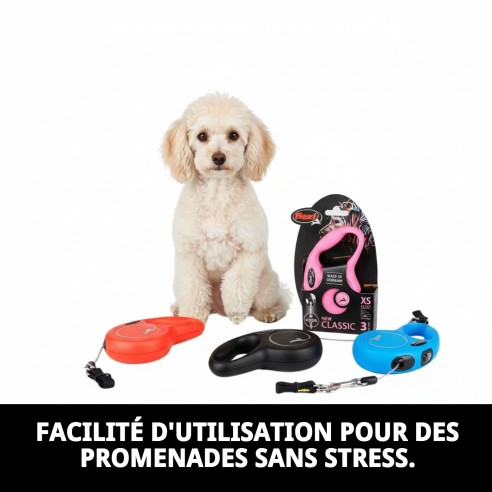 Correa Flexi New Classic XS 3M - Idéale pour votre animal de compagnie
