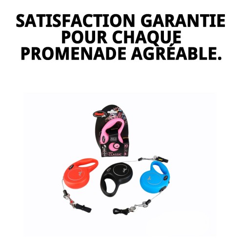 Correa Flexi New Classic XS 3M - Idéale pour votre animal de compagnie
