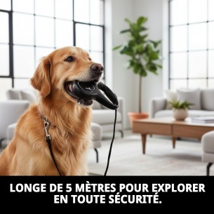 Correa FLEXI NEW CLASSIC S 5m Néon - Idéale pour votre animal de compagnie 2