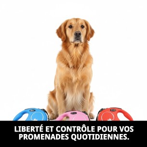 FLEXI NEW CLASSIC S 1-5 M : Laisse pour se promener avec style 2