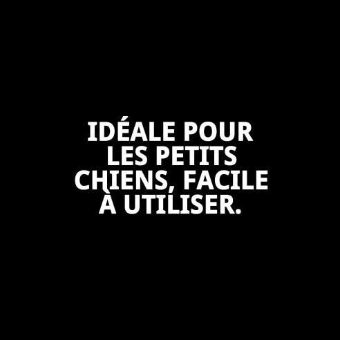 FLEXI NEW CLASSIC S 1-5 M : Laisse pour se promener avec style