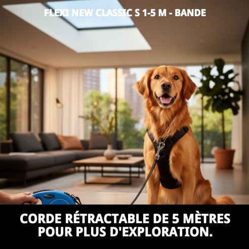 FLEXI NEW CLASSIC S 1-5 M : Laisse pour se promener avec style