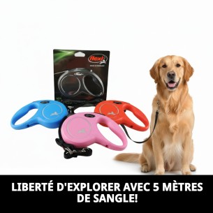 Corde FLEXI NEW CLASSIC M/L 2-5 M - Couleurs Vibrantes 2